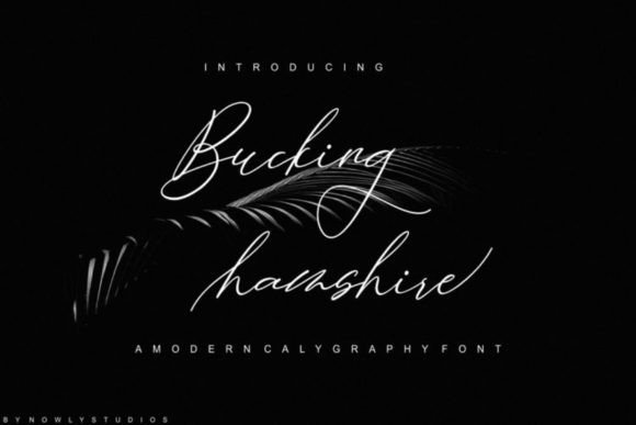 Bucking Hamshire: A Lively Script Font for Bold Brand Moments
