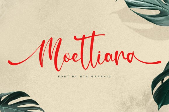 Moettiara: A Minimalist Script Font That Elevates Real Branding Work